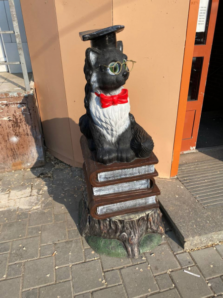 Свободное путешествие (пока по России)