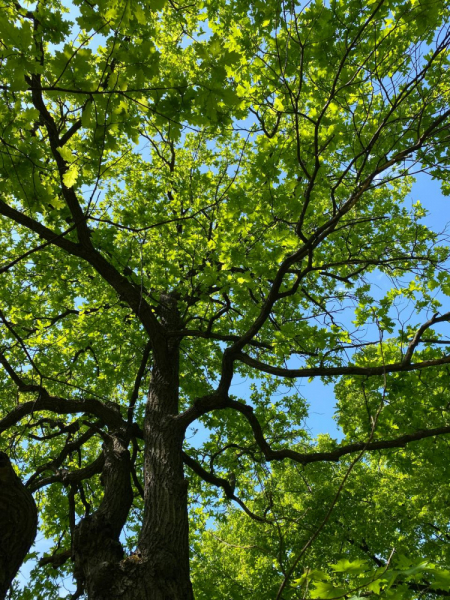 Свободное путешествие (пока по России)