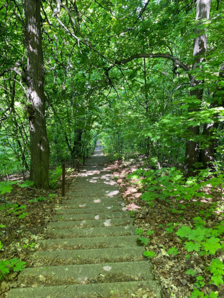 Свободное путешествие (пока по России)