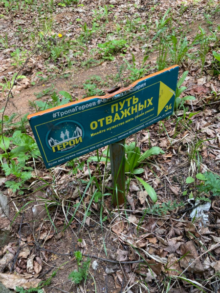 Свободное путешествие (пока по России)