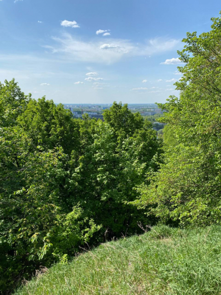 Свободное путешествие (пока по России)