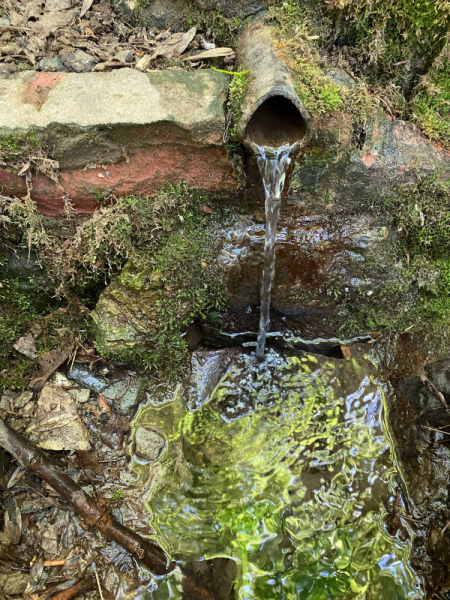 Свободное путешествие (пока по России)