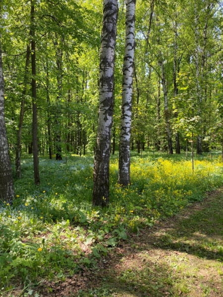 Свободное путешествие (пока по России)