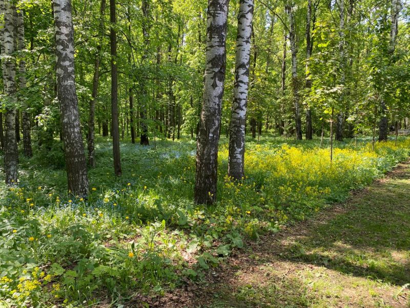 Свободное путешествие (пока по России)