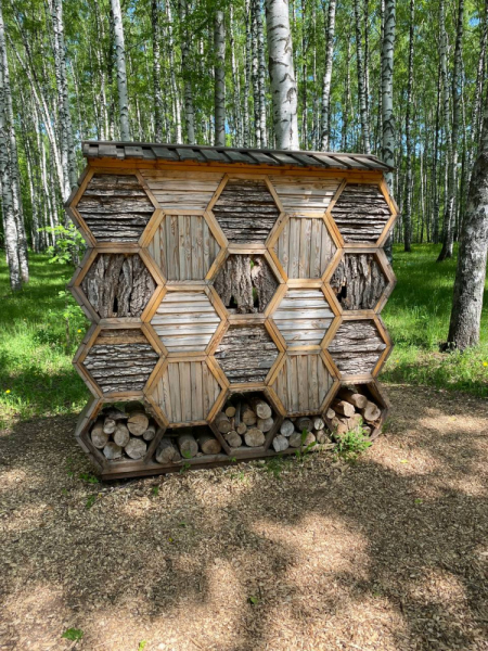 Свободное путешествие (пока по России)