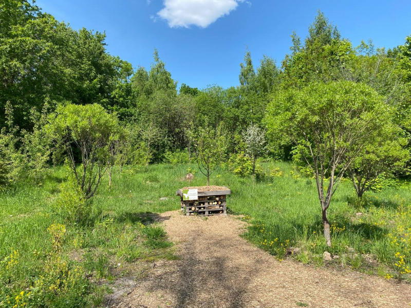 Свободное путешествие (пока по России)