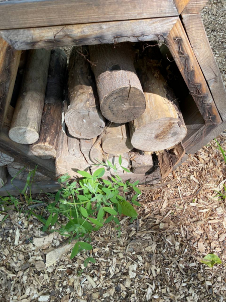 Свободное путешествие (пока по России)