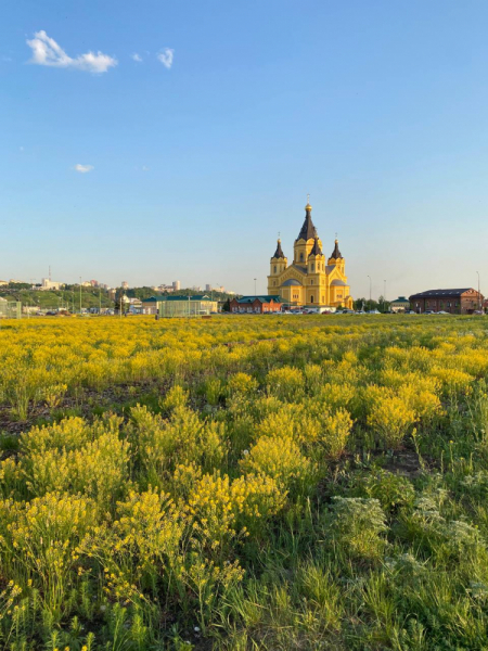 Свободное путешествие (пока по России)