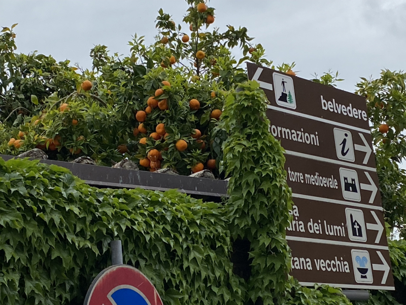 Долгожданное Путешествие в страну этрусков к центру Италии: Бодензее-Доломиты-Тоскана-Лацио-Умбрия-Лигурия-Лазурный берег-Вердон (апрель-май 2023)