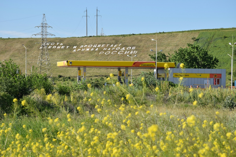 Рододендроны