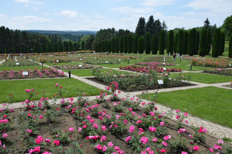 Кисловодск