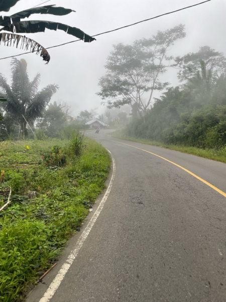 дорога в Robo