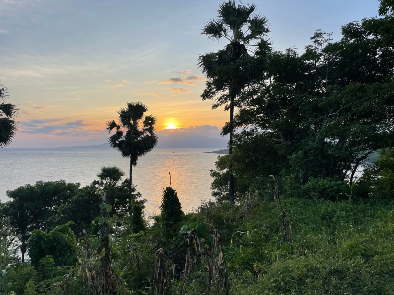 дорога в Robo