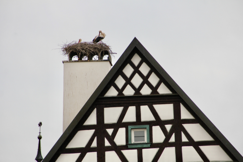 Короткие поездки по Германии: Бавария, Тюрингия и три Саксонии. Май 2023 г.