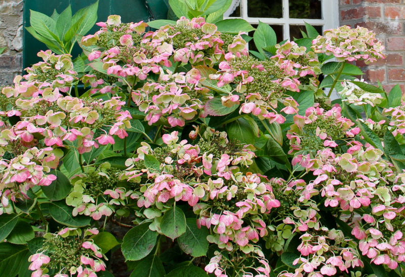 Французские зигзаги. Сентябрь 2019 г.