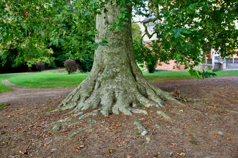 Французские зигзаги. Сентябрь 2019 г.