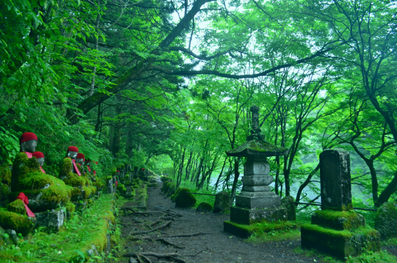 Япония на велосипеде: по горным серпантинам от онсэна до онсэна (около Japan Romantic road)