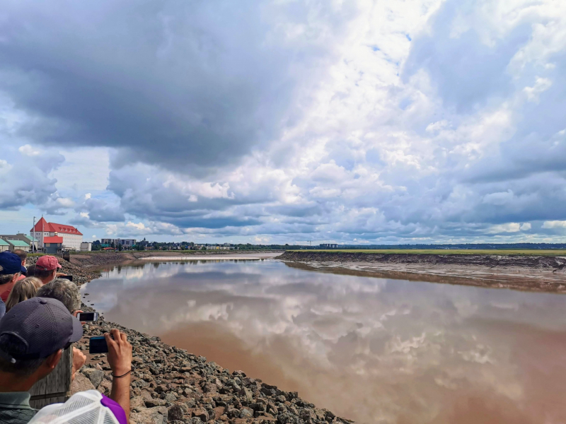 Босиком по морскому дну. Bay of Fundy, New Brunswick.