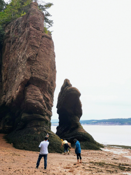 Босиком по морскому дну. Bay of Fundy, New Brunswick.