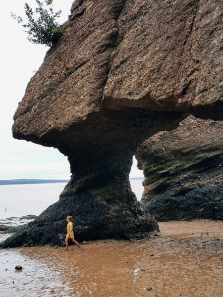 Босиком по морскому дну. Bay of Fundy, New Brunswick.