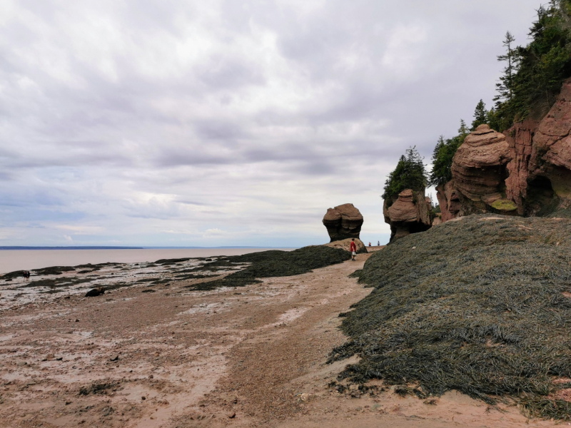 Босиком по морскому дну. Bay of Fundy, New Brunswick.