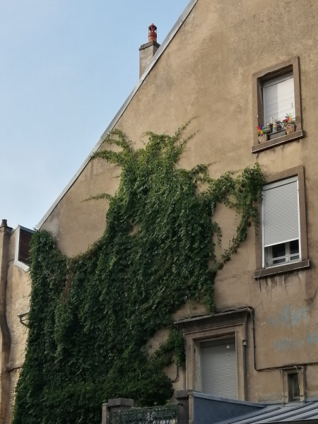 По Жюре на жаре (Бургундия: Доль, Безансон, Дижон с 29.06.19 по 7.07.19) По Жюре на жаре (Бургундия: Доль, Безансон, Дижон с 29.06.19 по 7.07.19)