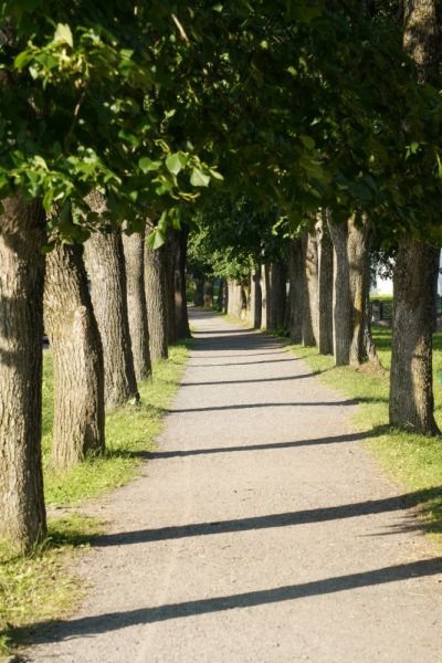 Фотоотчет по поездке на Соловки и возвращение домой через Сортавалу, Шлиссельбург и Псков. Июль 2022 г.