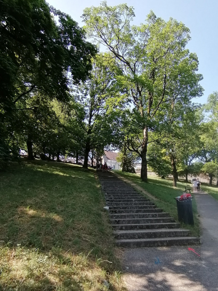 По Жюре на жаре (Бургундия: Доль, Безансон, Дижон с 29.06.19 по 7.07.19)