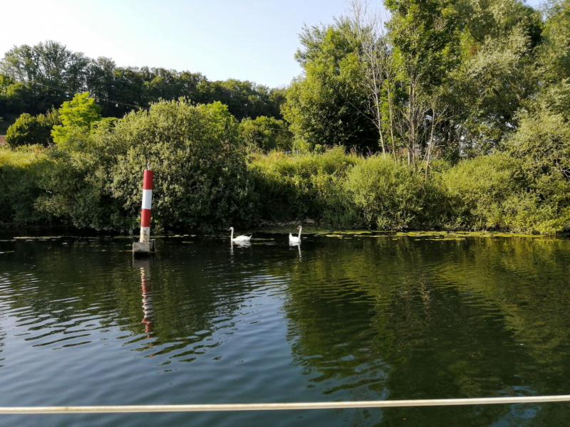 По Жюре на жаре (Бургундия: Доль, Безансон, Дижон с 29.06.19 по 7.07.19)