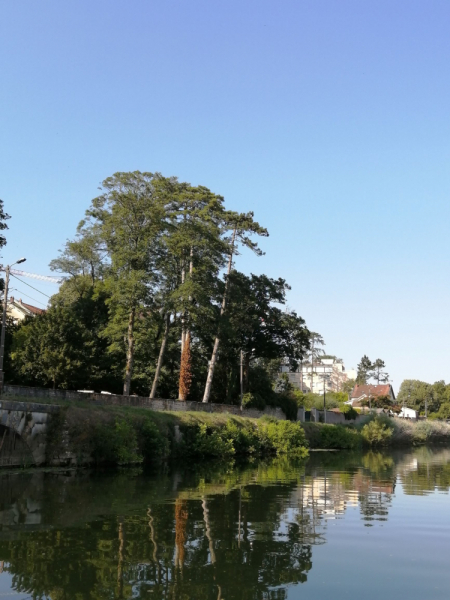 По Жюре на жаре (Бургундия: Доль, Безансон, Дижон с 29.06.19 по 7.07.19)