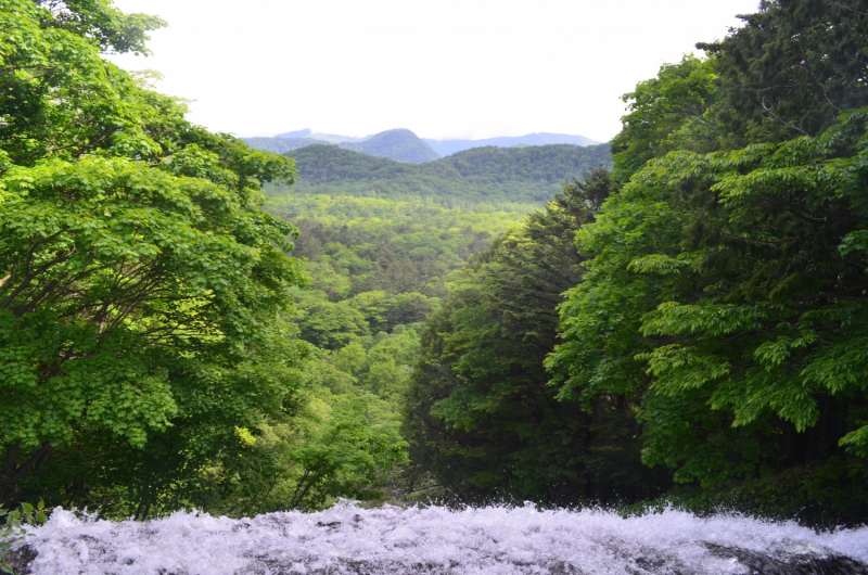 Япония на велосипеде: по горным серпантинам от онсэна до онсэна (около Japan Romantic road)