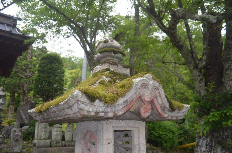 Япония на велосипеде: по горным серпантинам от онсэна до онсэна (около Japan Romantic road)