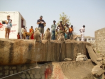 2011г.Пятимесячное путешествие по Индии с маленьким ребёнком