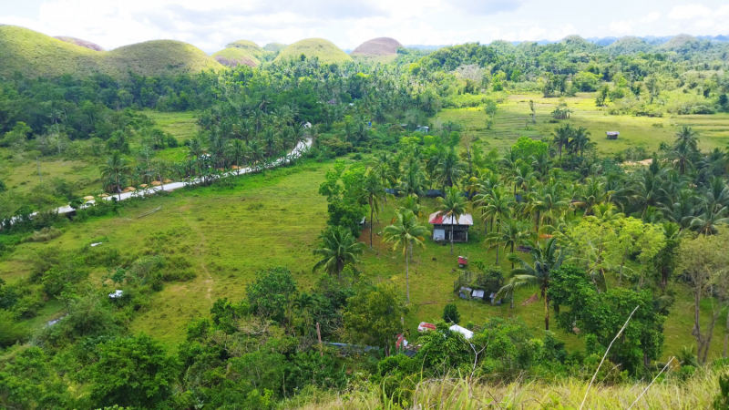 Успеть всё за 15 дней. Охота за кокосами и три прокола. Panglao, Bohol, Siquijor, Negros, Oslob, MoalBoal - 2023