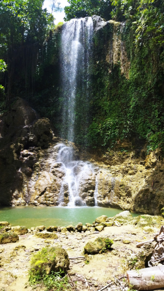 Успеть всё за 15 дней. Охота за кокосами и три прокола. Panglao, Bohol, Siquijor, Negros, Oslob, MoalBoal - 2023