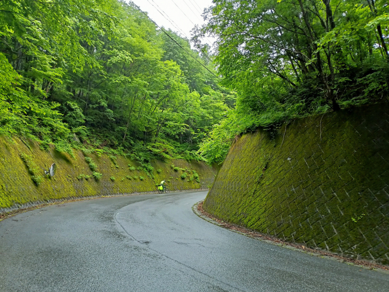 Япония на велосипеде: по горным серпантинам от онсэна до онсэна (около Japan Romantic road)
