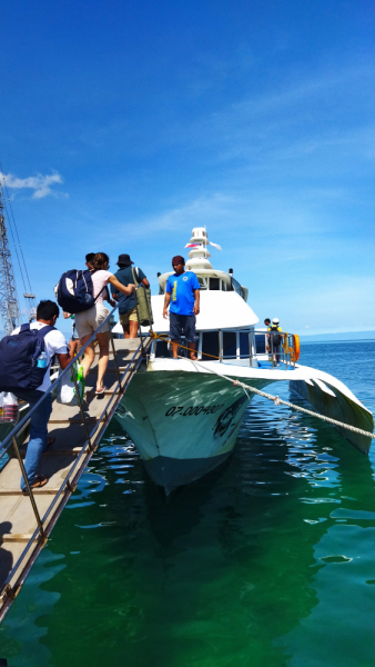 Успеть всё за 15 дней. Охота за кокосами и три прокола. Panglao, Bohol, Siquijor, Negros, Oslob, MoalBoal - 2023