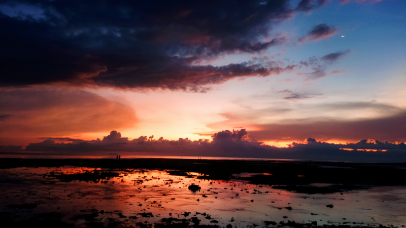 Успеть всё за 15 дней. Охота за кокосами и три прокола. Panglao, Bohol, Siquijor, Negros, Oslob, MoalBoal - 2023