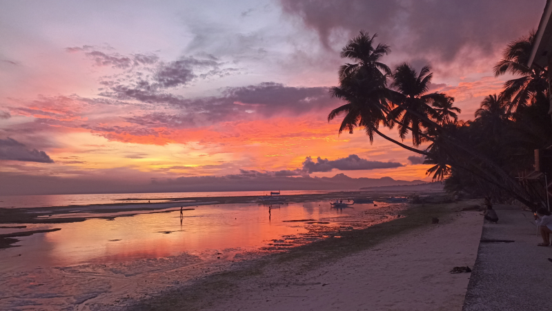 Успеть всё за 15 дней. Охота за кокосами и три прокола. Panglao, Bohol, Siquijor, Negros, Oslob, MoalBoal - 2023