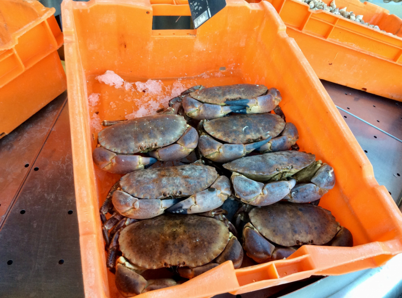 Французские зигзаги. Сентябрь 2019 г.