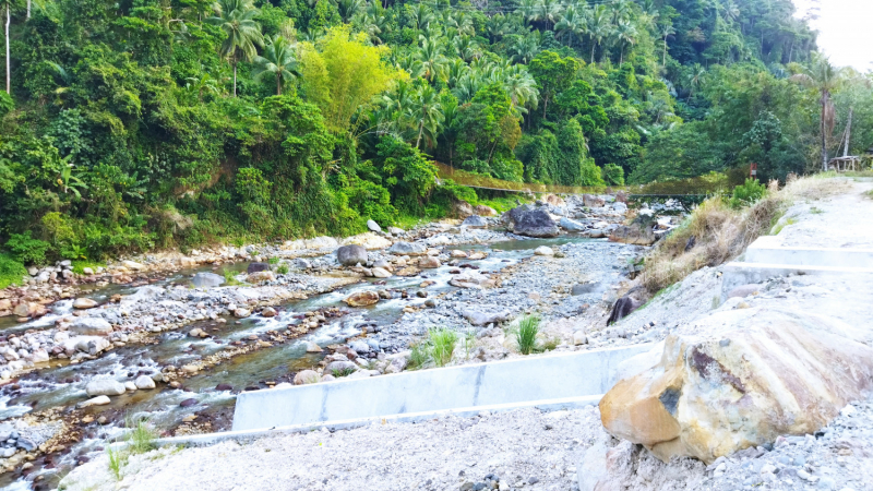 Успеть всё за 15 дней. Охота за кокосами и три прокола. Panglao, Bohol, Siquijor, Negros, Oslob, MoalBoal - 2023