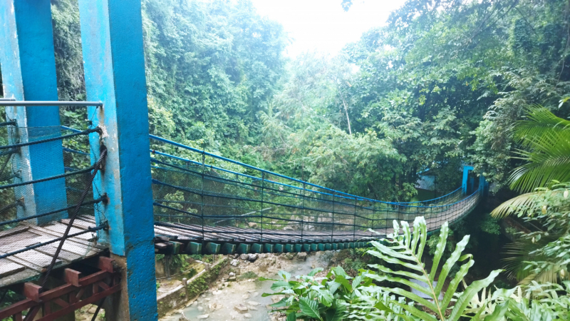 Успеть всё за 15 дней. Охота за кокосами и три прокола. Panglao, Bohol, Siquijor, Negros, Oslob, MoalBoal - 2023