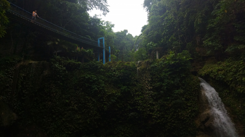 Успеть всё за 15 дней. Охота за кокосами и три прокола. Panglao, Bohol, Siquijor, Negros, Oslob, MoalBoal - 2023