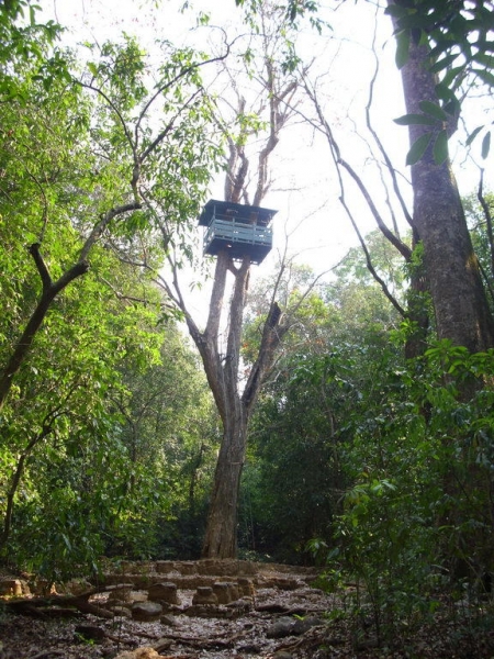 2011г.Пятимесячное путешествие по Индии с маленьким ребёнком