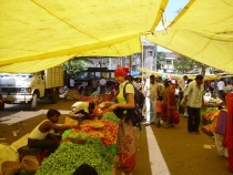 2011г.Пятимесячное путешествие по Индии с маленьким ребёнком