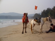 2011г.Пятимесячное путешествие по Индии с маленьким ребёнком