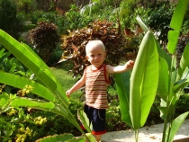 2011г.Пятимесячное путешествие по Индии с маленьким ребёнком 2011г.Пятимесячное путешествие по Индии с маленьким ребёнком