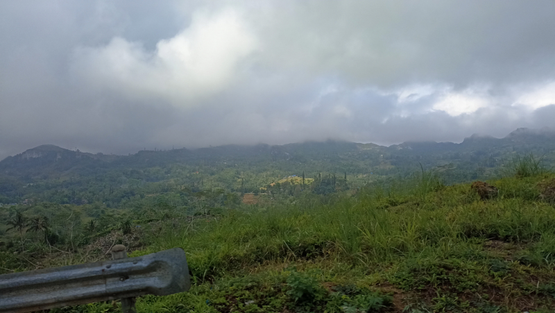 Успеть всё за 15 дней. Охота за кокосами и три прокола. Panglao, Bohol, Siquijor, Negros, Oslob, MoalBoal - 2023