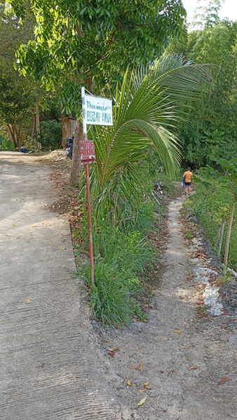 Успеть всё за 15 дней. Охота за кокосами и три прокола. Panglao, Bohol, Siquijor, Negros, Oslob, MoalBoal - 2023