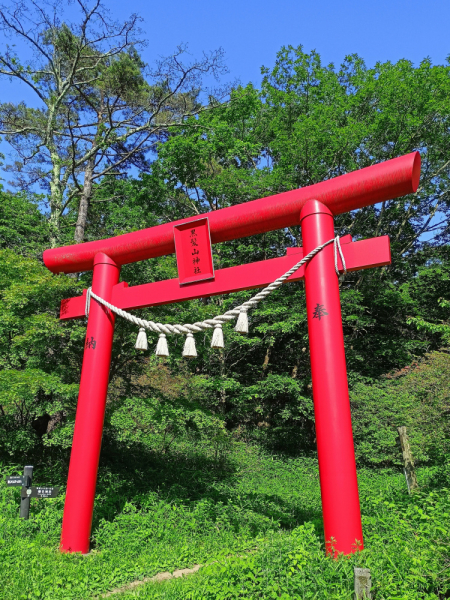 Япония на велосипеде: по горным серпантинам от онсэна до онсэна (около Japan Romantic road)